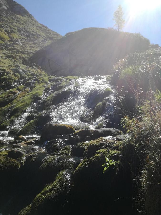 Almdorf Omlach, Fanningberg Weisspriach المظهر الخارجي الصورة