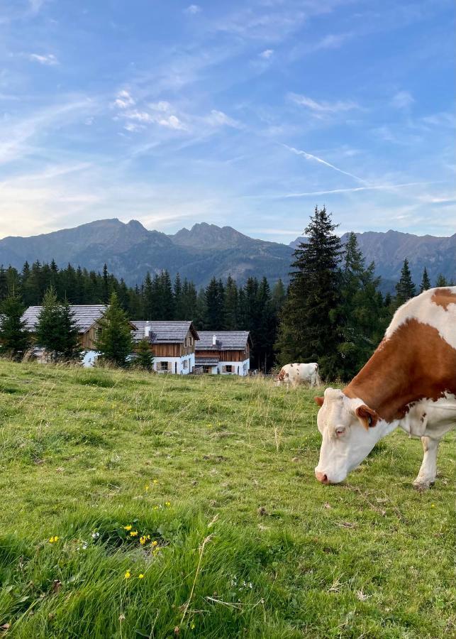 Almdorf Omlach, Fanningberg Weisspriach المظهر الخارجي الصورة
